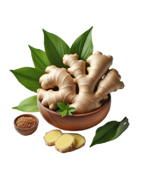 Jengibre Natural Selecto